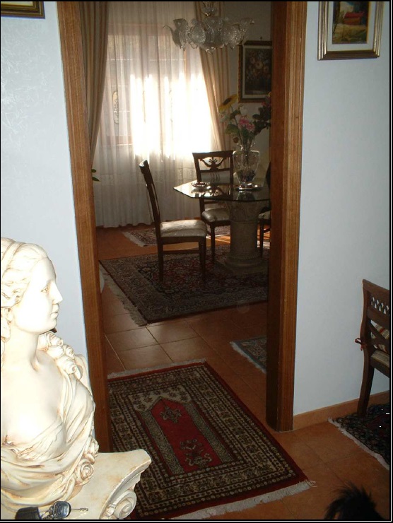 Ingresso, disimpegno, sala da pranzo, cucinino, soggiorno, 3 camere, bagno, ripostiglio, due balconi - Pertinenziale deposito, un posto auto scoperto ed autorimessa ad uso comune (millesimi di proprietà 111,111) . Mq 124 Identificativi catastali foglio 244, part. 21130, sub.99 con deoposito al foglio 244, part. 21130 sub. 86, posto auto scoperto al foglio 244, part. 21130 sub. 144 ed autorimessa ad uso comune al foglio 244, part. 21130 sub. 180 (millesimi di proprietà 111,111)