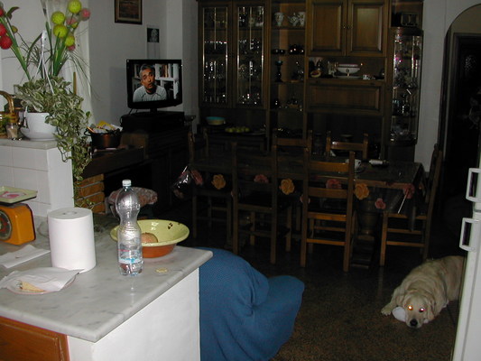 Descrizione: Ingresso, cucina,2 disimpegni, 2 bagni e 7 camere pertinenziale n. 4 locali di deposito, n. 2 ripostigli, forno, corte esterna sup. cat. Alloggio: 230 mq (comprensiva di quota parte di n. 4 depositi, n. 2 ripostigli, forno e corte esterna ad uso esclusivo) . Identificativi catastali: foglio 50, part. lle 623 e 194 (incluso n. 4 depositi, n. 2 ripostigli, forno e corte esterna ad uso esclusivo)