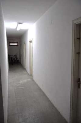 Descrizione: Ingresso, cucina, soggiorno, tre camere, due bagni , due ripostigli e due balconi + cantina, posto auto scoperto e autorimessa comune. Mq. 126 (compresa cantina). Identificativi catastali: Foglio 245, part. 184, sub. 5 con posto auto scoperto al foglio 245, part. 184, sub. 44 e  autorimessa ad uso comune al foglio 245, part. 184, sub. 11 (111,111 millesimi)