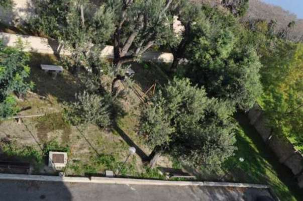 Descrizione: Ingresso, cucina, soggiorno, tre camere, due bagni , due ripostigli e due balconi + cantina, posto auto scoperto e autorimessa comune. Mq. 126 (compresa cantina). Identificativi catastali: Foglio 245, part. 184, sub. 5 con posto auto scoperto al foglio 245, part. 184, sub. 44 e  autorimessa ad uso comune al foglio 245, part. 184, sub. 11 (111,111 millesimi)