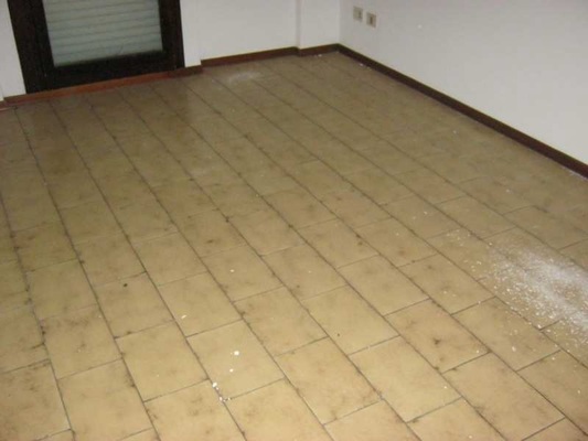 Descrizione: Ingresso, soggiorno, disimpegno, 3 camere, cucina, 2 bagni e 2 terrazzi + box auto e 2 cantine. Mq. 85. Identificativi catastali: foglio 65 part. 1652 sub. 23, con box auto al foglio 65 part. 1652 sub. 14, cantina al foglio 65 part. 1652 sub. 7 e cantina al foglio 65 part. 1652 sub. 8