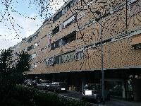 Appartamento sito in ROMA VIA OLANDA 14,  scala B, piano 2 INT.4 DI 5 VANI SENZA ASCENSORE. Mq. 86. N.C.E.U. categoria A3- foglio 529 part. 213 sub 52