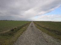 Esteso terreno agricolo, a giacitura piana, coltivato a seminativo, attiguo l’Aeroporto “Gastone Novelli (La Spreta)” di Ravenna e ubicato a sud del Comune di Ravenna, in zona a vocazione prettamente produttiva-agricola. Identificativi catastali: Catasto Terreni del Comune di Ravenna sezione Ravenna: - foglio 182 particelle 8, 9, 74, 75, 77, 78, 16, 21, 22, 23, 24, 50 e 53; - foglio 198 particella 191.