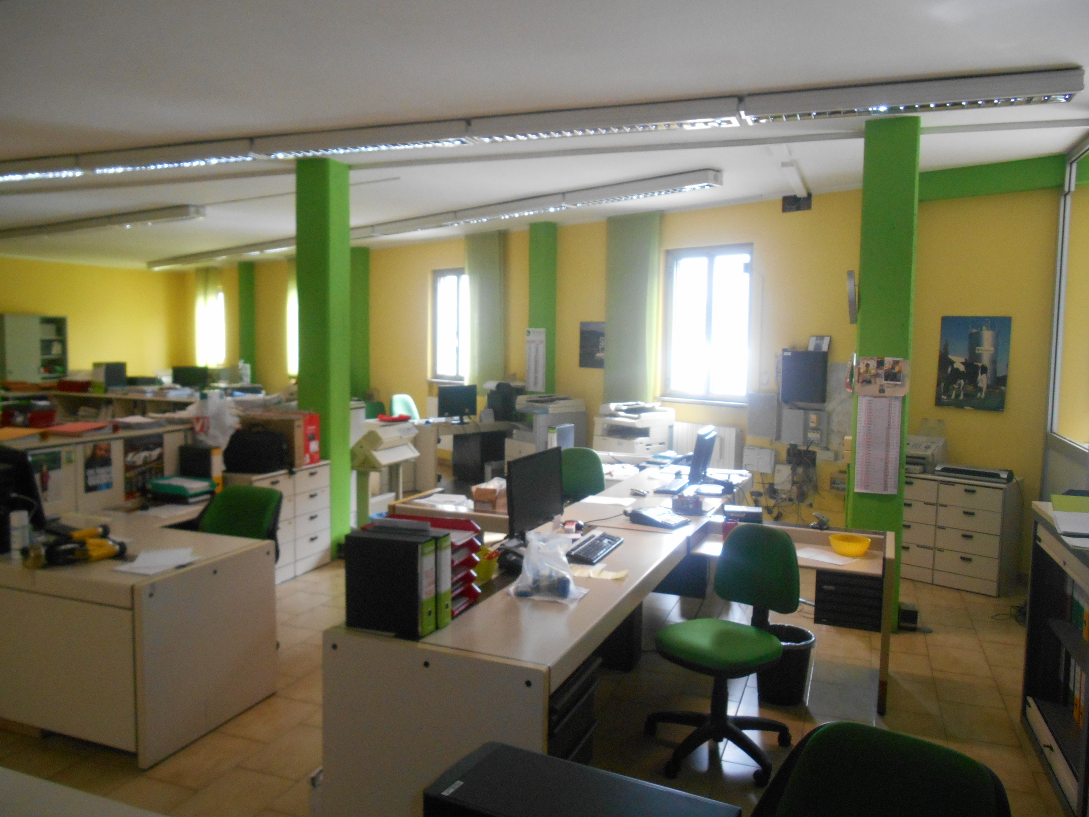 Capannone industriale con annessi uffici e servizi e area cortiliza. Presenza di ulteriori unità immobiliari adiacenti al capannone demaniale di proprietà di terzi. Identificativi catastali: comune di Zelo Buon Persico C.F. foglio 1 particella 185 sub. 702 graffato al mapp. 453 e particella 185 sub. 704 graffato al mapp. 454 - In corso aggiornamenti catastali