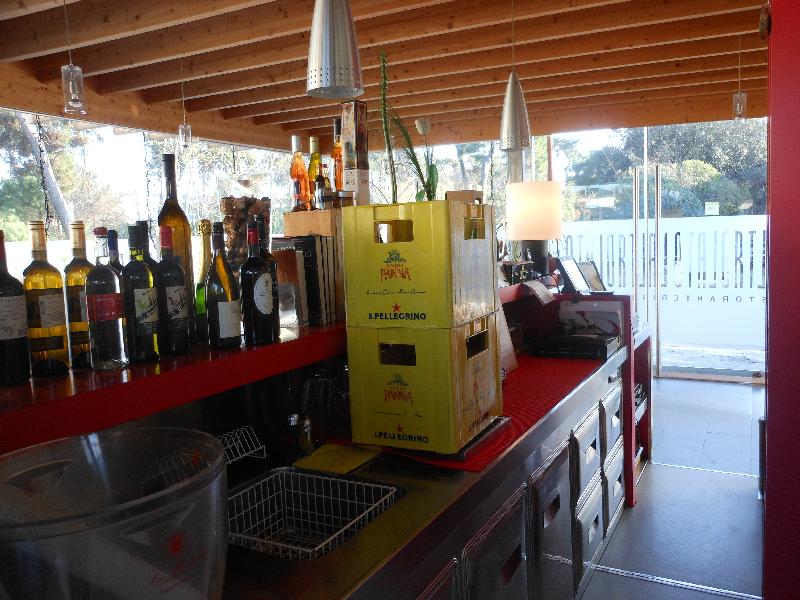 Locale commerciale a destinazione ristorante, libero su tre lati, che si sviluppa su un unico piano fuori terra. Il bene, che si sviluppa su pianta di forma irregolare, è costituito da una porzione in muratura mista ove sono posti il locale cucina ed i servizi annessi, ed una porzione completamente vetrata dove si trova la sala ristorante. Completa la proprietà un piccolo resede esterno posto sul lato sinistro del fabbricato ed un ampio pergolato. Il fondo commerciale è completo di tutti gli impianti (elettrico, idrico, termoelettrico). Identificativi catastali: C.F. del Comune di Viareggio, foglio 27, particella 719, subalterno 1.