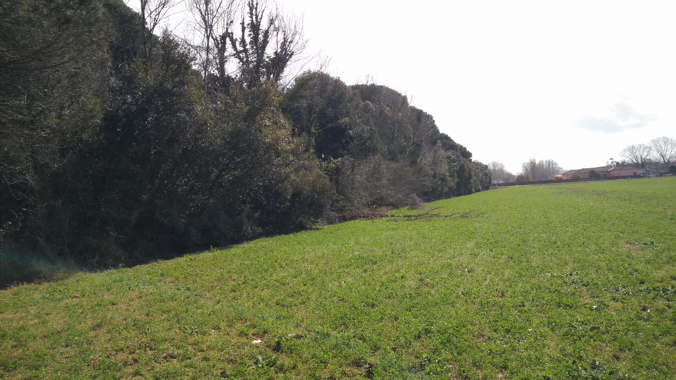 Terreni agricoli ubicati nel Comune di Pisa in frazione di Marina di Pisa. Superficie totale di circa mq. 84.300 di forma irregolare con giacitura pianeggiante. La qualità colturale prevalente è "pineta". Il vigente Regolamento Urbanistico del Comune di Pisa prevede per una porzione del suddetto terreno di mq 23.125 la destinazione a campeggio. Identificativi catastali: C.T. Foglio 85, p.lle 2, 323, 336, 337, 338, 339, 340, 341, 342, 343,344, 345, 346 e 347 (dati in corso di aggiornamento)