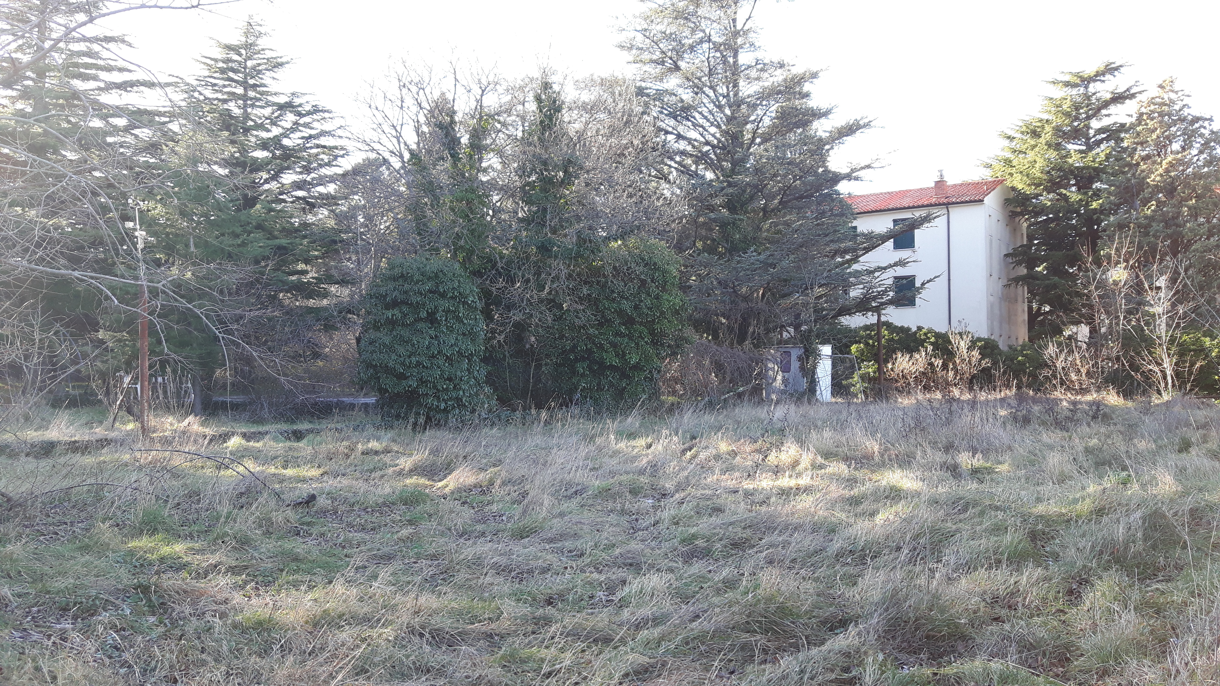Complesso immobiliare a destinazione residenziale di tipo signorile ubicato in località Opicina del Comune di Trieste, costituito da un’area edificabile pianeggiante di complessivi 4.851 mq circa, su cui insiste un vecchio fabbricato tipo villetta di 120 mq circa oltre a manufatti accessori. Zona Bg2 – Città dei giardini del Carso, disciplinata dall’articolo 27 delle N.T.A.Classe energetica: G-La vendita avviene a corpo. Sono a carico dell’acquirente eventuali oneri catastali e di rimozione di mobilio/oggetti.. Identificativi catastali: N.C.T. di Trieste- Sezione Villa Opicina foglio 8, particella 1547-1548-1549 . N.C.E.U. di Trieste,  Comune Censuario di Villa Opicina, Foglio 8, - p.c. 1547, Subb. 1 -2-3-4 p.c. 1548 p.c. 1549         