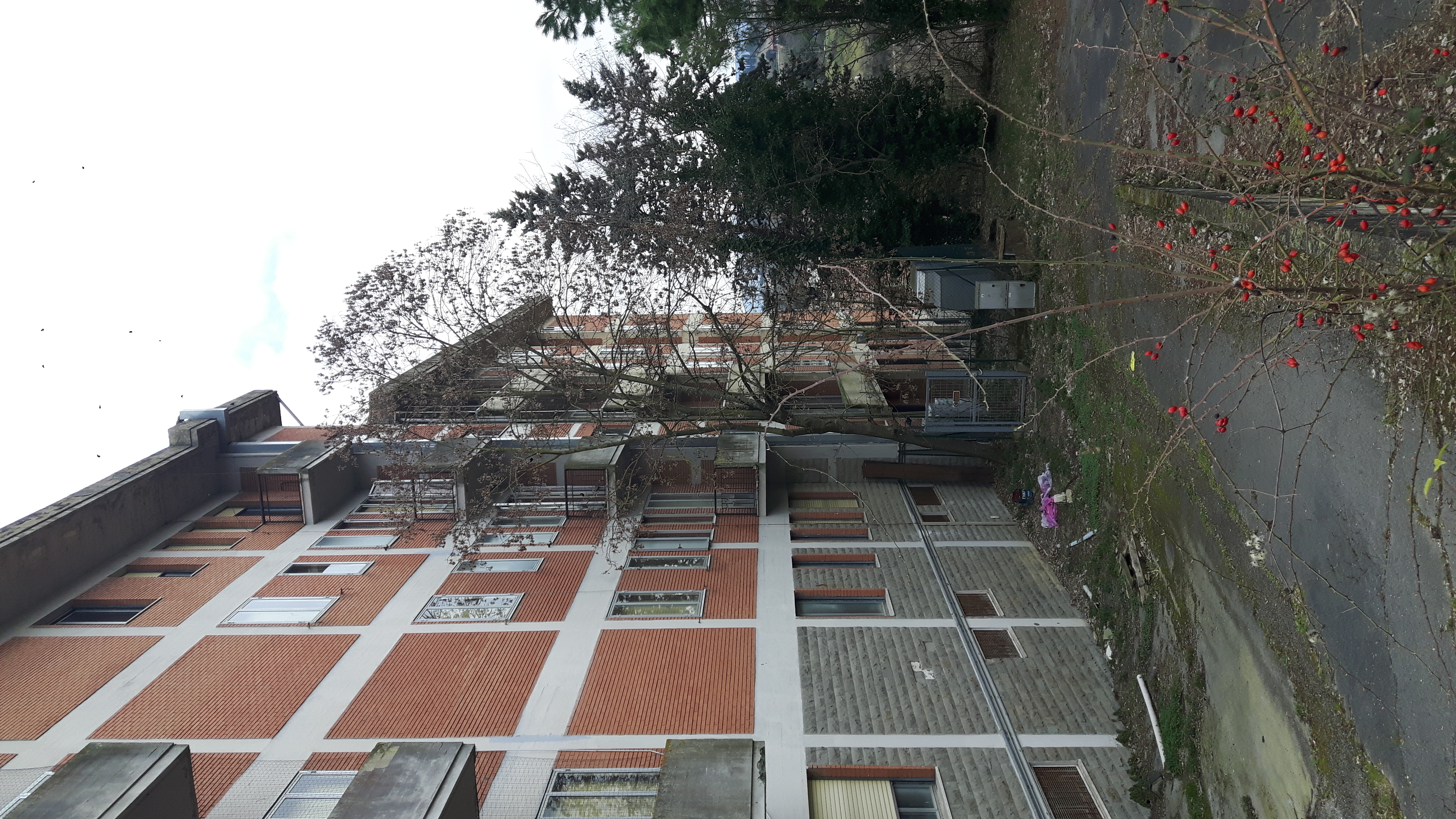 trattasi di un complesso immobiliare ubicato nel comune di Siena, in piazza Calabria, nel quartiere residenziale denominato Vico Alto.
L’immobile si presenta come un fabbricato cielo – terra, con pianta ad “L” che si eleva per sei piani fuori terra, distinto in due corpi di fabbrica adiacenti tra di loro con quote sfalsate. Completa la proprietà un resede esterno in parte adibito a verde ed in parte a parcheggio. 
L’immobile versa in pessimo stato di manutenzione, con evidenti problemi strutturali tali da ipotizzare l’impossibilità del riuso dello stesso senza la sua completa demolizione e ricostruzione.
. Identificativi catastali: C.F. del Comune di Siena Foglio 13, particella 673, subalterni 4, 5, 6
