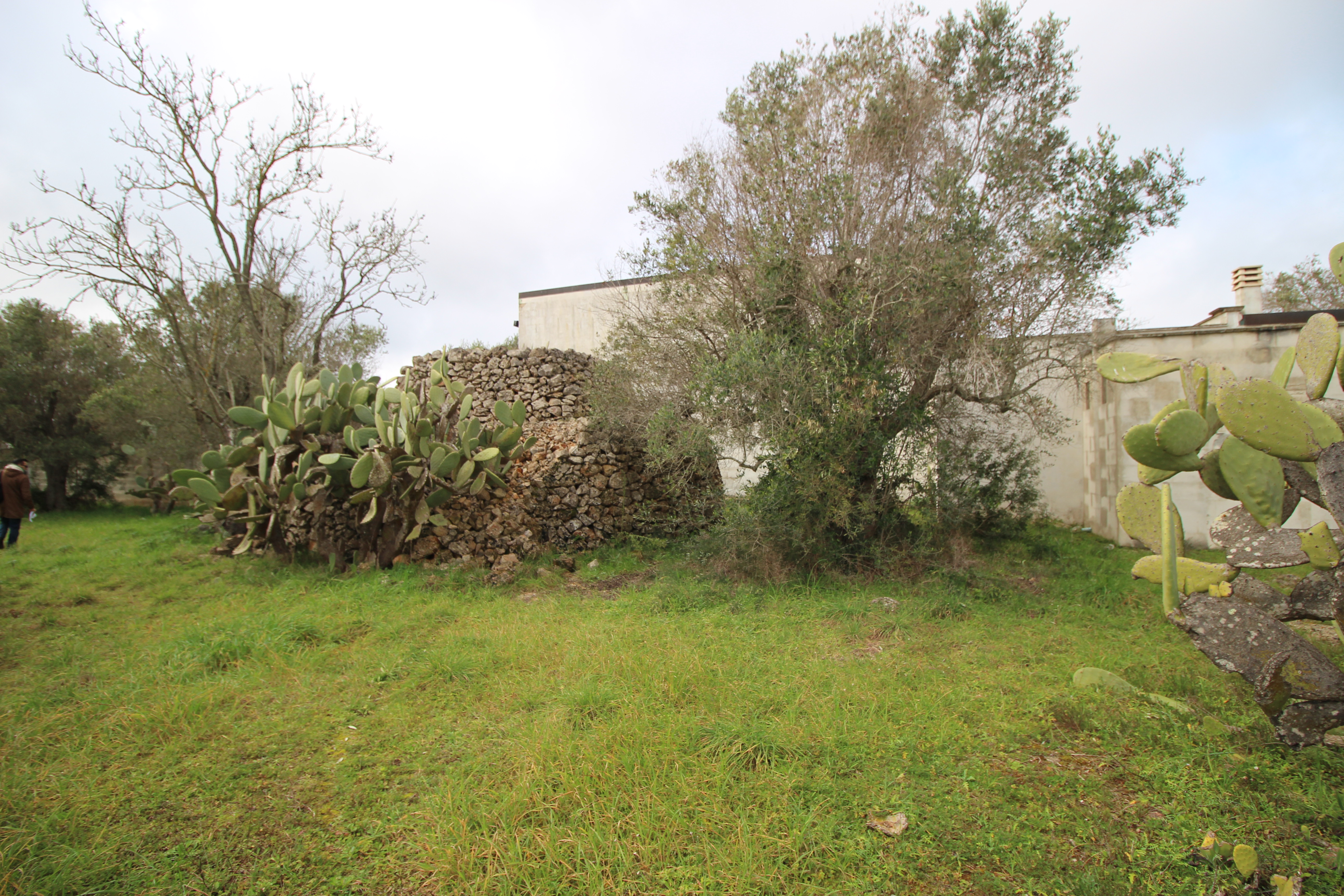 terreno agricolo circostante di complessivi ha 1.00.19 (composto dalle particelle 269, 272 e 709)