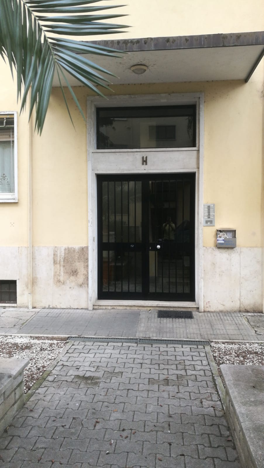APPARTAMENTO INT.13 DI 6 VANI CON ASCENSORE.Mq. 110 + CANTINA. Identificativi catastali categoria A3- foglio 896 part. 344 sub 13. Libero