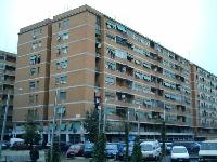 In ROMA, CAP - 00146 VIALE VICOPISANO, 48-50, piano TE. Descrizione: Negozio al piano terra costituito da unico grande ambiente con doppio ingresso su strada e bagno. Mq. 134. N.C.E.U.Foglio 812 Particella 286 Sub. 506. LIBERO.PIENA PROPRIETA'