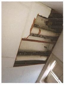 Appartamento al 4° piano, (in Catasto piano 5), del fabbricato denominato “Palazzo Cavalcanti” Comune di Napoli, quartiere Montecalvario,Via Toledo n. 348. L’unità immobiliare ha accesso dalla scala condominiale “B”, e confina a Sud con cortile condominiale dove ha affaccio, ad Ovest con altre unità immobiliari del medesimo edificio, a Nord con Vico Galluppi e ad Est con Via Toledo su cui ha affaccio.