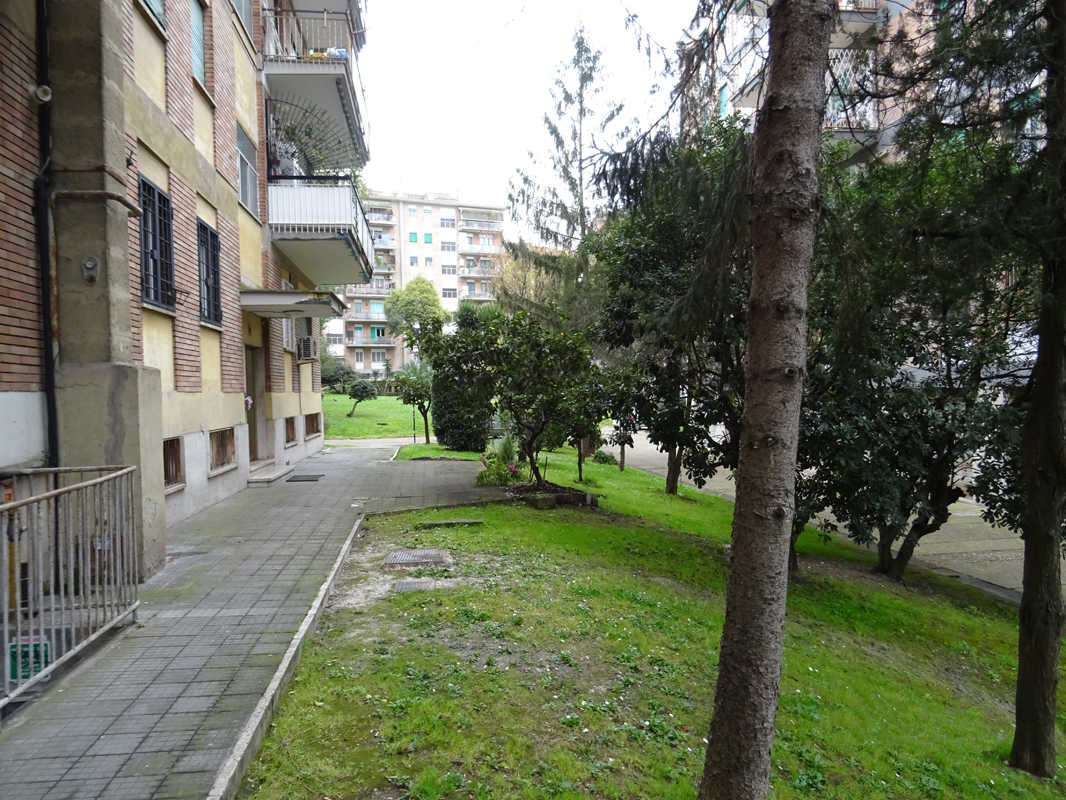APPARTAMENTO INT.4 DI 8,5 VANI CON ASCENSORE + pertinenziale CANTINA. Mq. 163. LIBERO. Identificativi catastali categoria A3- foglio 378 part. 149 sub 4