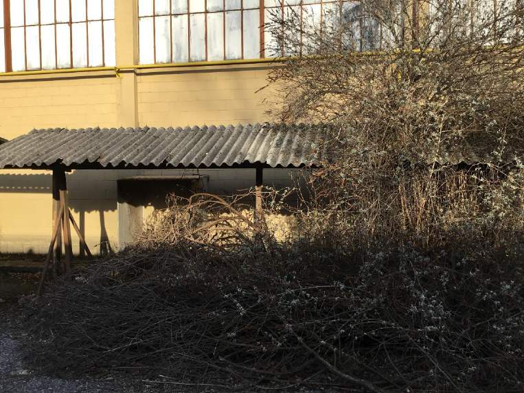 LOTTO UNICO.In Comune Amministrativo e Censuario di DOLZAGO(LC).1) PIENA PROPRIETA’complesso industriale posto in via Provinciale n. 18, costituito da diversi fabbricati dismessi da tempo, con annesse aree pertinenziali; 2) DIRITTO DI PROPRIETA’ GRAVATO DA DIRITTO DI SUPERFICIE A FAVORE DI ENEL SPA: appezzamento di terreno gravato da diritto di superficie, costituito con atto in data 17-20 ottobre 1996 n. 109438-109530 /20206 su cui insiste cabina Enel per la distribuzione dell'energia. Si rimanda all'avviso di vendita per la descrizione completa