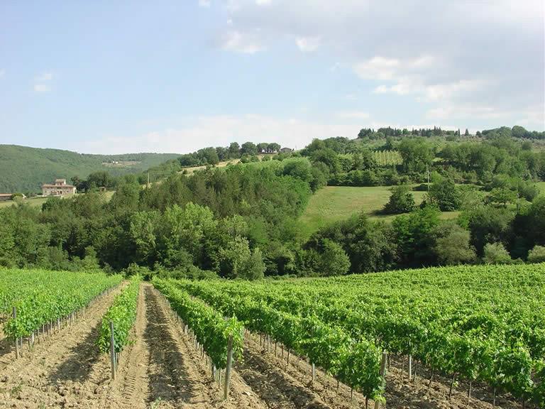 Complesso immobiliare di pregio sito nel Comune di Castellina in Chianti (SI), località Ceppeto.