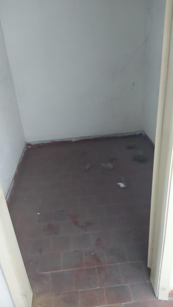 appartamento di vani 7 con soffitta + posto auto coperto in autorimessa interrata condominiale di pertinenza; mq comm. appartamento 140,14 - mq comm. posto auto coperto 14,10. Identificativi Catastali: Fg 85 (ex B/13) part. 707 (ex 1342) sub 58 cat. A02 rendita 1500,31. PIENA Proprietà. Lotto Libero al 1 turno d'asta.
