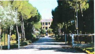 Compendio immobiliare (ex Colonia) con terreni e sovrastanti fabbricati con accesso anche dal litorale Adriatico di Jesolo Lido. Mq 51.716. Piena Proprietà lotto libero al rogito al primo turno d'asta.
