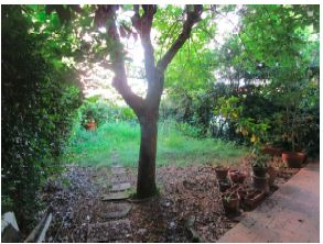 Appartamento ad uso civile abitazione ubicato al piano terreno di una villetta a schiera di due piani, con giardino pertinenziale in proprietà esclusiva con tettoia. L’appartamento ha accesso dalla pubblica via tramite loggia a comune e si compone di ingresso-soggiorno collegato mediante ampia apertura al vano adiacente dando così luogo ad un unico ampio locale, disimpegno con sovrastante soppalco, camera, cucina e bagno.