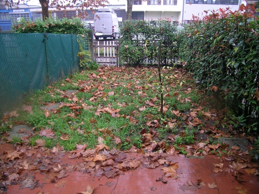 Immobile composto da: piano terra - corridoio, camera, cucina, wc, ripostiglio e portico;  primo piano - disimpegno, 2 camere, bagno e loggia; secondo piano - soffitta a spiovente (accesso con scala retrattile); box auto, soffitta, 2 aree scoperte. Identificativi Catastali [N.C.E.U.] cat. A2 foglio NCT/237 part. 799 sub. 2 (incluso soffitta e 2 aree scoperte al foglio NCT/237 part. 817 sub. 1 e foglio NCT/237 part. 804), con box auto ad uso esclusivo al foglio NCT/237 part. 817 sub. 2
