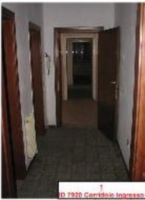 Immobile composto da corridoio, bagno, soggiorno con angolo cottura, 2 camere e Cantina. Identificativi Catastali [N.C.E.U.] cat. A3 foglio 7 part. 769 sub. 3 (incluso cantina di pertinenza esclusiva)