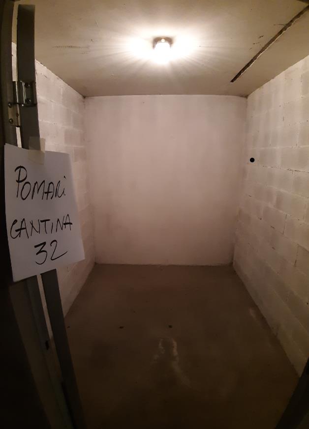 Negozio al piano terra con superficie di vendita di mq 79 oltre ad una cantina di mq 6 ed una cantina di mq 5 identificate con sub catastale separato + box auto in autorimessa interrata condominiale dotata di certificato antincendio. Identificativi Catastali [N.C.E.U.]: unità non residenziale cat. C/1 foglio 48 (ex G/6) part. 1196 sub 144 rendita 1385,76, unità secondaria cat. C/2 foglio 48 (ex G/6) part. 1196 sub 32 rendita 16,42 , unità secondaria cat. C/2 foglio 48 (ex G/6) part. 1196 sub 80 rendita 13,69 e unità secondaria cat. C/6 foglio 48 (ex G/6) part. 1196 sub 90 rendita 66,11