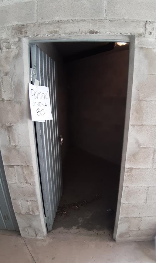 Negozio al piano terra con superficie di vendita di mq 79 oltre ad una cantina di mq 6 ed una cantina di mq 5 identificate con sub catastale separato + box auto in autorimessa interrata condominiale dotata di certificato antincendio. Identificativi Catastali [N.C.E.U.]: unità non residenziale cat. C/1 foglio 48 (ex G/6) part. 1196 sub 144 rendita 1385,76, unità secondaria cat. C/2 foglio 48 (ex G/6) part. 1196 sub 32 rendita 16,42 , unità secondaria cat. C/2 foglio 48 (ex G/6) part. 1196 sub 80 rendita 13,69 e unità secondaria cat. C/6 foglio 48 (ex G/6) part. 1196 sub 90 rendita 66,11