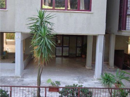 APPARTAMENTO  2 locali + servizi semplici + 1 CANTINA o SOFFITTA