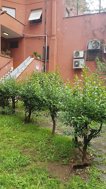 Unità Residenziale cat. A/3 foglio 956 part. 185 sub 68 rendita 848,28