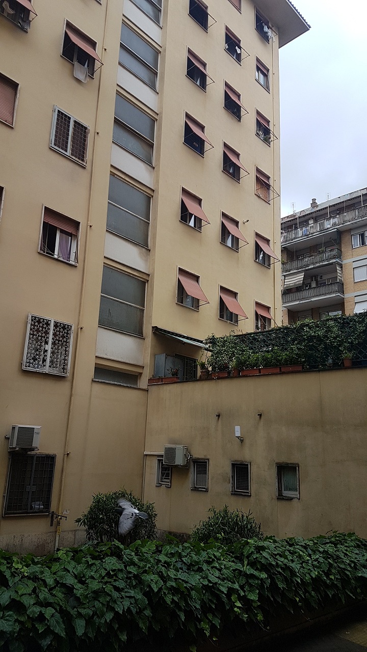 Unità Commerciale cat. C/1 foglio 956 part. 272 sub 502 rendita 3075,19