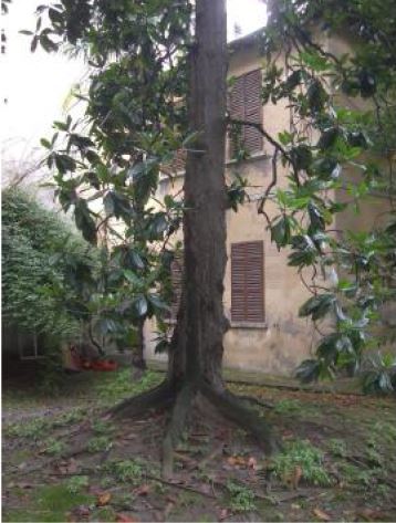 APPARTAMENTO 5 locali + servizi semplici + 1 CANTINA o SOFFITTA. MQ 186. Identificativi catastali F.178 Mapp.285 Sub.27. LIBERO
