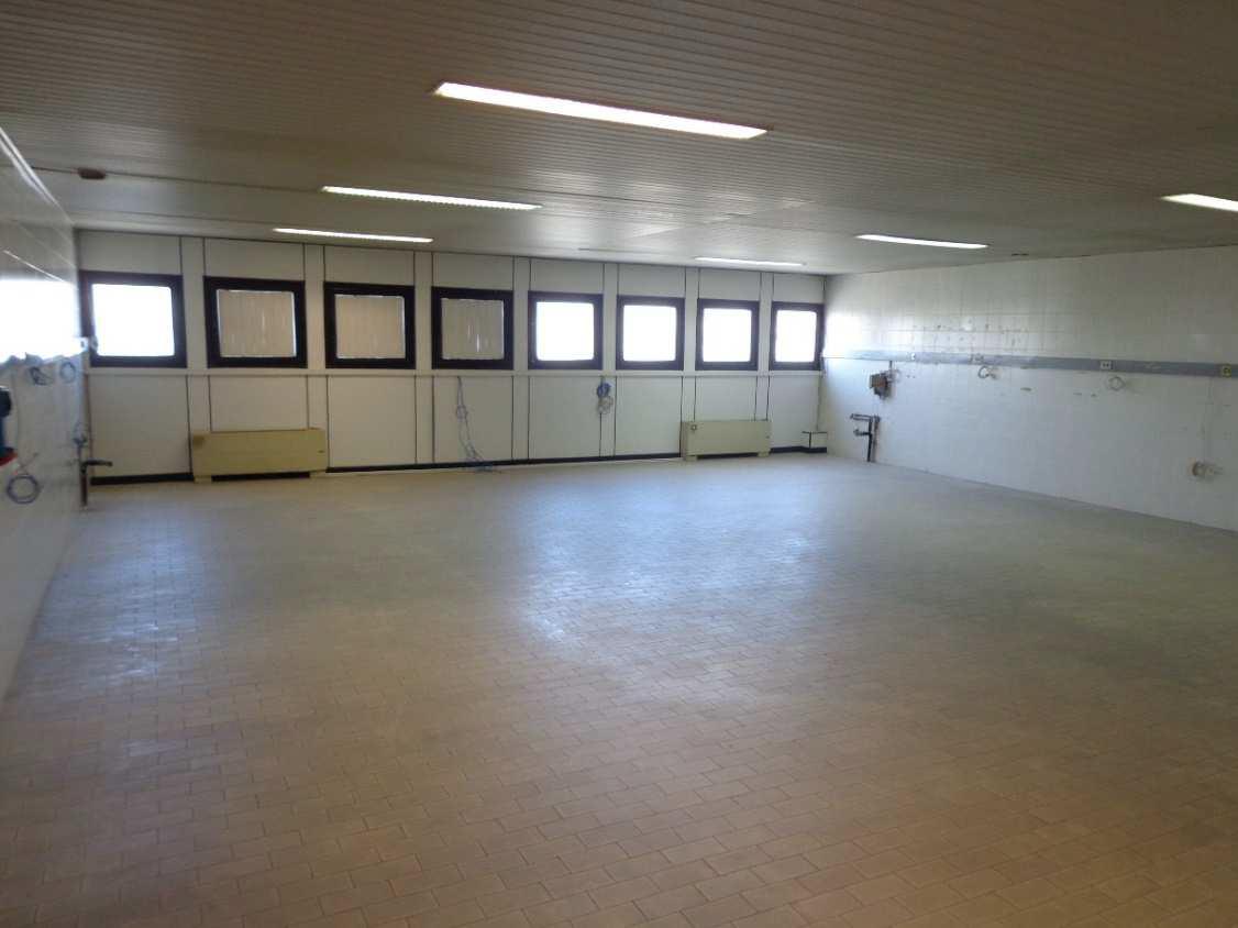 Castelnuovo di Porto (RM), Traversa del grillo snc, Deposito/Magazzino. Mq catastali escluse aree scoperte 122.411. Occupato parzialmente. Intera proprietà. Identificativi catastali F. 34 MAPP. 283 SUB 502. Classe Energetica D KWh/m2 122.92.