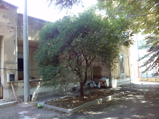 Complesso edilizio all'interno del comprensorio denominato "ex Deposito Cappuccini"  ubicato nella zona semi periferica del comune di Messina, costituito da un solo corpo di fabbrica ad una elevazione fuori terra, ad uso residenziale, con un unico accesso. Il lotto in vendita è costituito da 3 unità abitative di ampia metratura ed è dotato di un ampio cortile, nel quale sono stati ricavati n. 3 posti auto + 3 posti auto scoperti, area scoperta. Identificativi Catastali [N.C.E.U.]Foglio 108 part. 443. Mq. 422. Libero, intera proprietà.