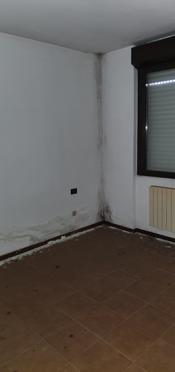 Appartamento composto da ingresso - salone, angolo cottura, ripostiglio, corridoio, due vani, due bagni, un balcone, cantina piano interrato n. 251 + box auto piano S1 n. 251  box auto civico 113 piano S1 n. 204. Identificativi catastali [N.C.E.U.] Unità Residenziale cat. A/3 foglio 55 part. 9877 sub 264  - Unità secondaria cat. C/6 foglio 55 part. 9877 sub 312  - Unità Secondaria cat. C/6 foglio 55 part. 9877 sub 469. Sup. mq catastali 113  - mq catastali 10  - mq catastali 12. Libero, piena proprietà.