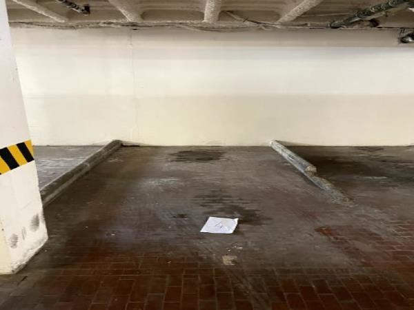 Appartamento al piano terra con magazzino piano terra e soffitta al piano 9° sottotetto. ingresso, soggiorno, cucina separata, bagno, due camere+Posto auto coperto in autorimessa interrata condominiale con certificato antincendio. Id. cat.- [N.C.E.U.] U. Res. cat. A/2 foglio 85 part. 479 sub 127 - U. sec. cat. C/6 foglio 85 part. 707 sub 100. Sup. mq cat. appartamento 108,00, mq cat. posto auto coperto 10,00. Libero. AVVISO. Poiché alcuni immobili del supercondominio Complesso Palestro sono stati interessati da un problema di sfondellamento solai, i potenziali acquirenti sono edotti del rischio che il problema possa riguardare anche il presente lotto e accettano di eseguire a proprio carico dopo l’acquisto eventuali interventi manutentivi, con pieno esonero di INPS. Piena Proprietà
