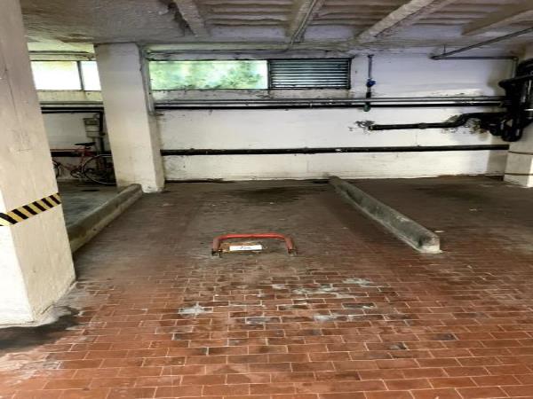 Appartamento al piano 5° con soffitta al piano 9° sottotetto. ingresso, soggiorno ampio e cucina separati, due bagni ciechi, tre camere ed un ripostiglio+Posto auto coperto in autorimessa interrata condominiale con certificato antincendio. Id. cat.- [N.C.E.U.] U. Res. cat. A/2 foglio 85 part. 479 (ex 1308) sub 55 - U. sec. cat. C/6 foglio 85 part. 479 (ex 1308) sub 87. Sup. mq cat. appartamento 125,00, mq cat. posto auto coperto 11,00. Libero. AVVISO. Poiché alcuni immobili del supercondominio sono stati interessati da un problema di sfondellamento solai, i potenziali acquirenti sono edotti del rischio che il problema possa riguardare anche il presente lotto e accettano di eseguire a proprio carico dopo l’acquisto eventuali interventi manutentivi, con pieno esonero di INPS. Piena Proprietà