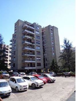 appartamento 2 locali + servizi semplici + 1 cantina soffitta. Mq 66. Identificativi catastali F.420 Mapp.534 Sub.16. Locato. Piena Proprieta'