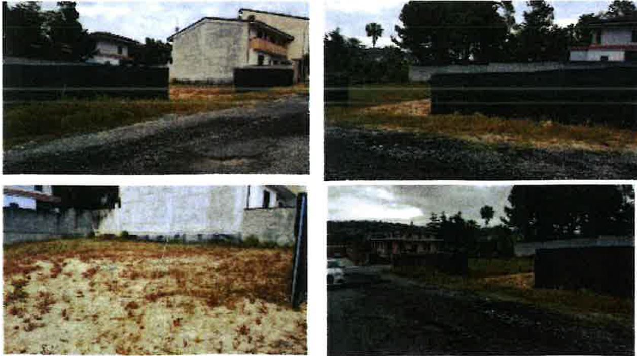 Terreno edificabile al margine sud del centro abitato di Rosarno, in una zona con discreto livello di urbanizzazione, media densità edilizia e diverse attività commerciali. Si accede da strada interpoderale che si ricollega tramite via Amedeo Modigliani alla SS 18. Risulta intercluso e confinante con le particelle 495, 642, 612 e 692. Ha una conformazione rettangolare. Ricade nella zona urbanistica B3 del PRG comunale ma stante la configurazione planimetrica e la sua ridotta consistenza la capacità edificatoria potrà essere sfruttata non direttamente ma trasferita su altra particella della stessa zona territoriale. Non è sottoposta a vincoli. Il terreno risulta libero e incolto. Identificativi [N.C.E.U.] Cat. T - Foglio 36 - Part. 643 (I-RC-308851) SUP. MQ (ARR.) 195