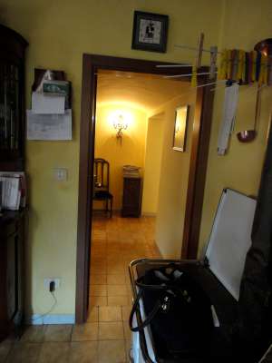 Abitazione in Bologna (Bologna) Via Parisio 7 (piano terra). Composto da: 2 disimpegni, soggiorno, camera, studio, cucina, bagno, ripostiglio e portico + cantina area scoperta. Identificativi [N.C.E.U.] Categoria Catastale A3 foglio 272 part. 53 sub. 6 (compresa cantina ad uso esclusivo) e area scoperta ad uso esclusivo al foglio 272 part. 53 sub. 8.. Mq 140. Libero. Piena proprietà