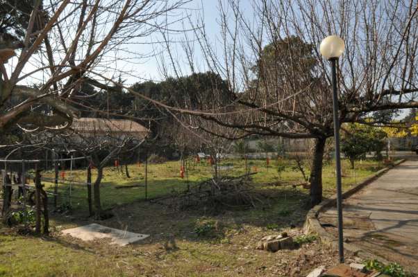 Abitazione in Caserta (Caserta) Via Giuseppe Fanin 5 (piano primo, interno 2). Composto da: ingresso, 2 disimpegni, 5 camere, cucina, 2 WC e 2 balconi + 2 cantine box auto. Identificativi [N.C.E.U.] Categoria Catastale A2 foglio 44 part. 5047 sub. 20, con cantina ad uso esclusivo al foglio 44 part. 5047 sub. 11, cantina ad uso esclusivo al foglio 44 part. 5047 sub. 13 e box auto ad uso esclusivo al foglio 44 part. 5047 sub. 10. Mq 177. Libero. Piena proprietà
