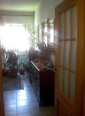 Abitazione in Roma (Roma) Via Cesareo 15 (piano quarto, interno 8). Composto da: Ingresso, corridoio, cucina, bagno, 4 camere, veranda e ampio terrazzo + cantina. Identificativi [N.C.E.U.] Categoria Catastale A2 foglio 274 part. 251 sub. 501 (compresa cantina ad uso esclusivo). Mq 131. Libero. Piena proprietà
