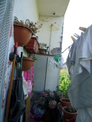Abitazione in Roma (Roma) Viale Delle Medaglie D'Oro 84-86 (piano terzo, interno 8). Composto da: Corridoio, cucina, bagno, 3 camere, balcone + posto auto scoperto. Identificativi [N.C.E.U.] Categoria Catastale A2 foglio 368 part. 3980 sub. 8, posto auto scoperto ad uso esclusivo al foglio 368 part. 3980 sub. 19. Mq 78. Libero. Piena proprietà