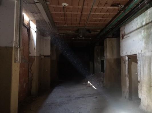 Il complesso immobiliare è costituito da un edificio minore denominato “Chiosco del portiere” posto in prossimità di uno dei due accessi. “Villa San Giuseppe” un edificio risalente al XV secolo che divenuto di proprietà della Croce Rossa Italiana è stato adibito ad uso ospedaliero. “La Villetta” un edificio destinato a civile abitazione con scuderia, serra, rimessa, concimaia e casa del casiere. Alcuni locali, un tempo destinati a limonaia, furono trasformati in saletta cinematografica e piccolo teatro. Il terreno di pertinenza nasce in parte come parco monumentale a servizio della Villa ed in parte come terreno coltivato a vigneto e frutteto. Lo stato manutentivo generale, alla luce del sopralluogo interno eseguito può definirsi di avanzato degrado. Terreno 32.013 mc.