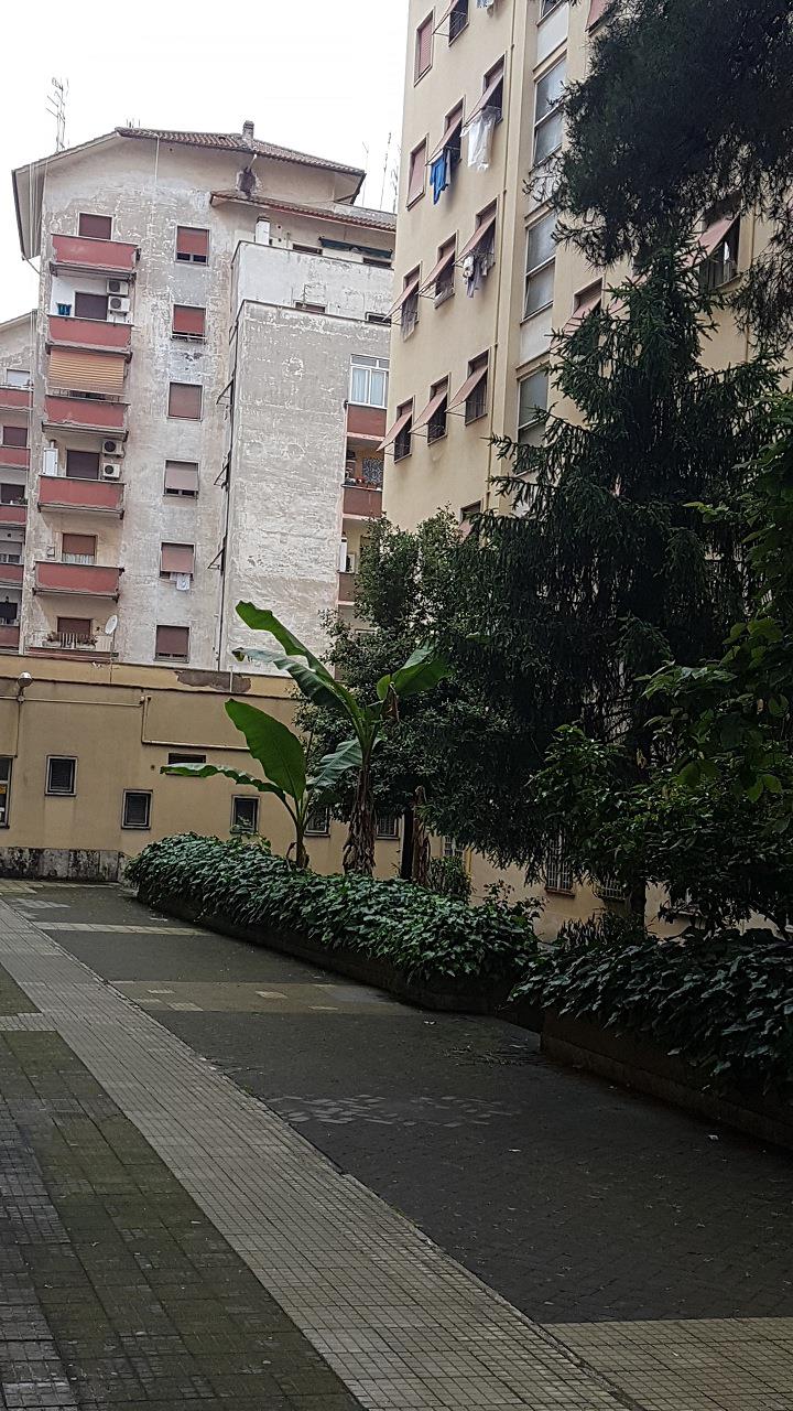 Appartamento composto da due vani, cucina abitabile, bagno e corridoio.Identificativi Catastali [N.C.E.U.] Unità Residenziale cat. A/3 foglio 956 part. 272 sub 17. Sup. mq 61. Lotto Libero, Piena Proprietà.