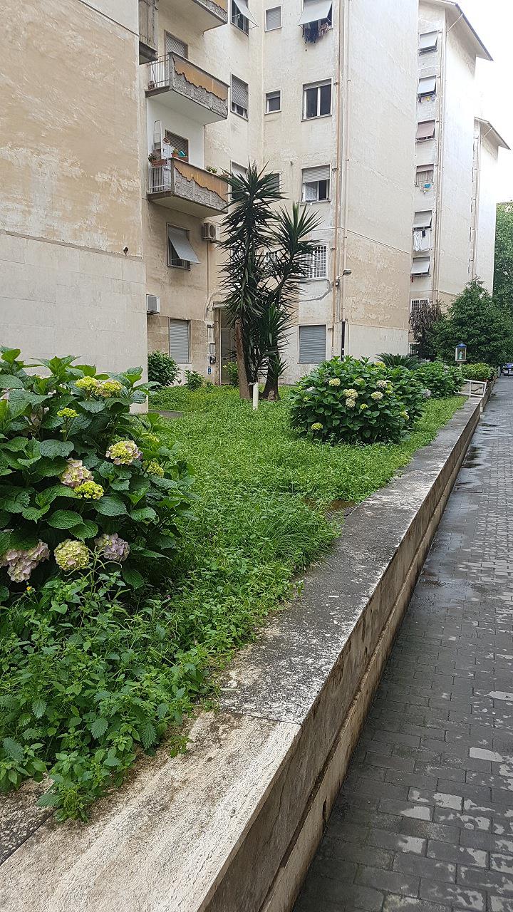 Appartamento composto da tre vani, cucina abitabile, ampio ingresso, disimpegno, ripostiglio e bagno.Identificativi Catastali [N.C.E.U.] Unità Residenziale cat. A/3 foglio 956 part. 352 sub 40. Sup. mq 81,5. Lotto Libero, Piena Proprietà.