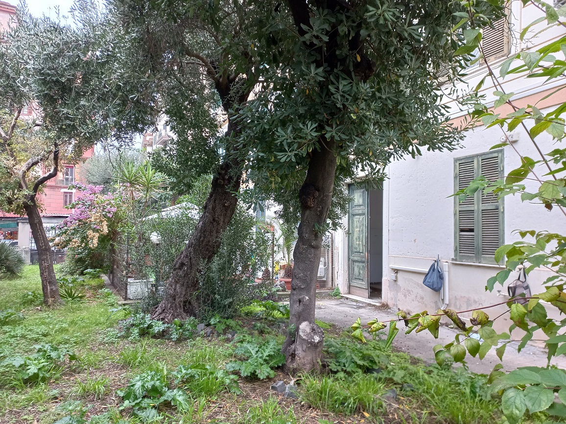 Appartamento con ingresso indipendente di 5 vani senza ascensore e giardino, scala U, piano T. Dati catastali [N.C.E.U.]: cat.A/2, fg. 926, part. 70-152, sub. 611. Sup cat. 151. Piena proprietà lotto libero.