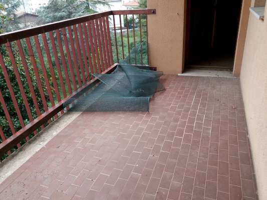 Abitazione in Rovigo (Rovigo) Via Stacche 17 (scala A, piano terzo). Composto da: Ingresso, corridoio, cucina, 3 camere, pranzo soggiorno, ripostiglio, bagno, wc, 2 terrazze + cantina box auto. Identificativi [N.C.E.U.] Categoria Catastale A/2 foglio 22 part. 721 sub. 37 (compresa cantina ad uso esclusivo), con box auto ad uso esclusivo al foglio 22 part. 721 sub. 12. Mq 134. Libero. Piena proprietà