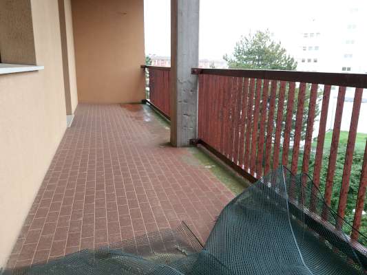 Abitazione in Rovigo (Rovigo) Via Stacche 17 (scala A, piano terzo). Composto da: Ingresso, corridoio, cucina, 3 camere, pranzo soggiorno, ripostiglio, bagno, wc, 2 terrazze + cantina box auto. Identificativi [N.C.E.U.] Categoria Catastale A/2 foglio 22 part. 721 sub. 37 (compresa cantina ad uso esclusivo), con box auto ad uso esclusivo al foglio 22 part. 721 sub. 12. Mq 134. Libero. Piena proprietà