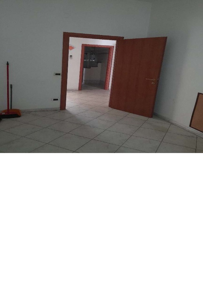 appartamento 3 locali + servizi semplici. Identificativi catastali F. 94 Mapp. 2267 Sub. 411. Sup. Mq catastali escluse aree scoperte (arr.) 81. Immobile libero, piena proprieta'.