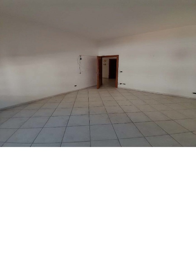 appartamento 3 locali + servizi semplici. Identificativi catastali F. 94 Mapp. 2267 Sub. 411. Sup. Mq catastali escluse aree scoperte (arr.) 81. Immobile libero, piena proprieta'.