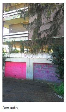 Appartamento composto da 3 locali, 2 bagni, cucina e 2 terrazzi, oltre ad una porzione di giardino ad uso esclusivo, alla cantina, al box e al posto auto + Porzione di giardino ad uso esclusivo, cantina al piano interrato, box auto, e posto auto scoperto nel cortile. Id. cat. Foglio 191, Mappale 8, Sub 502 (appartamento e giardino) - 18 (box) - 508 (posto auto scoperto). Sup. mq 161